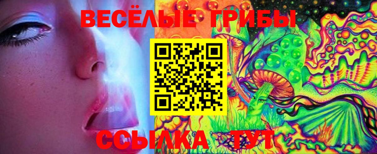 Псилоцибиновые грибы Cubensis  Вход с VPN  Котовск 
